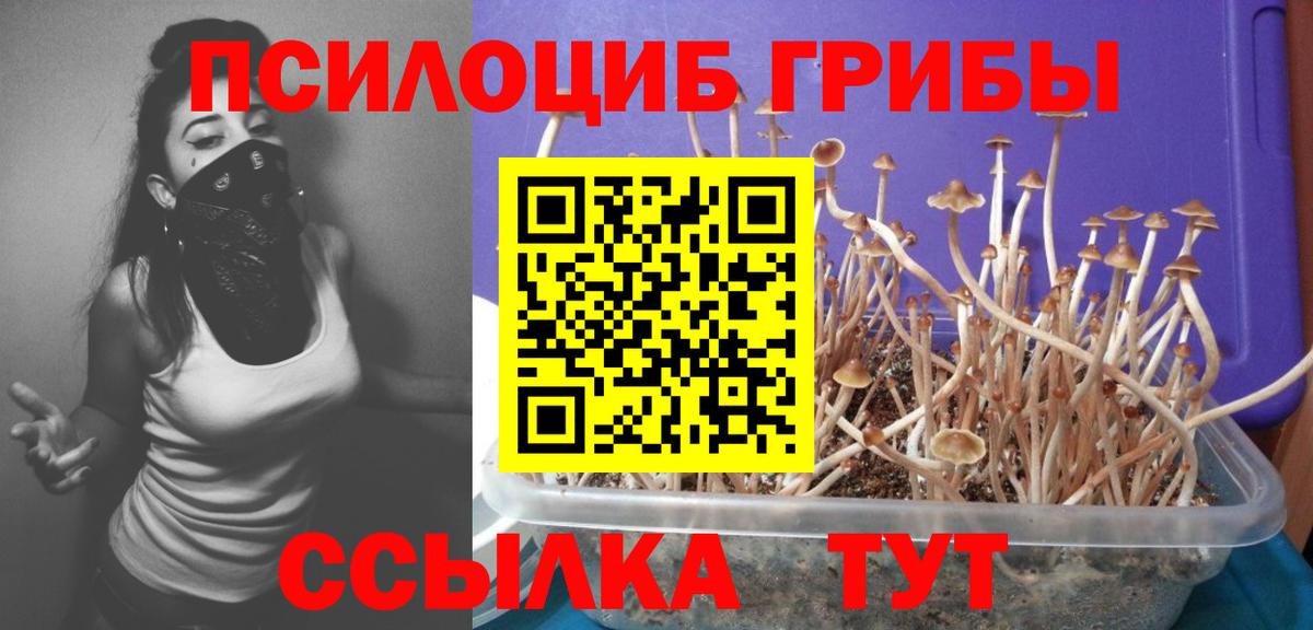 Галлюциногенные грибы Magic Shrooms  Вход с VPN  Коряжма 